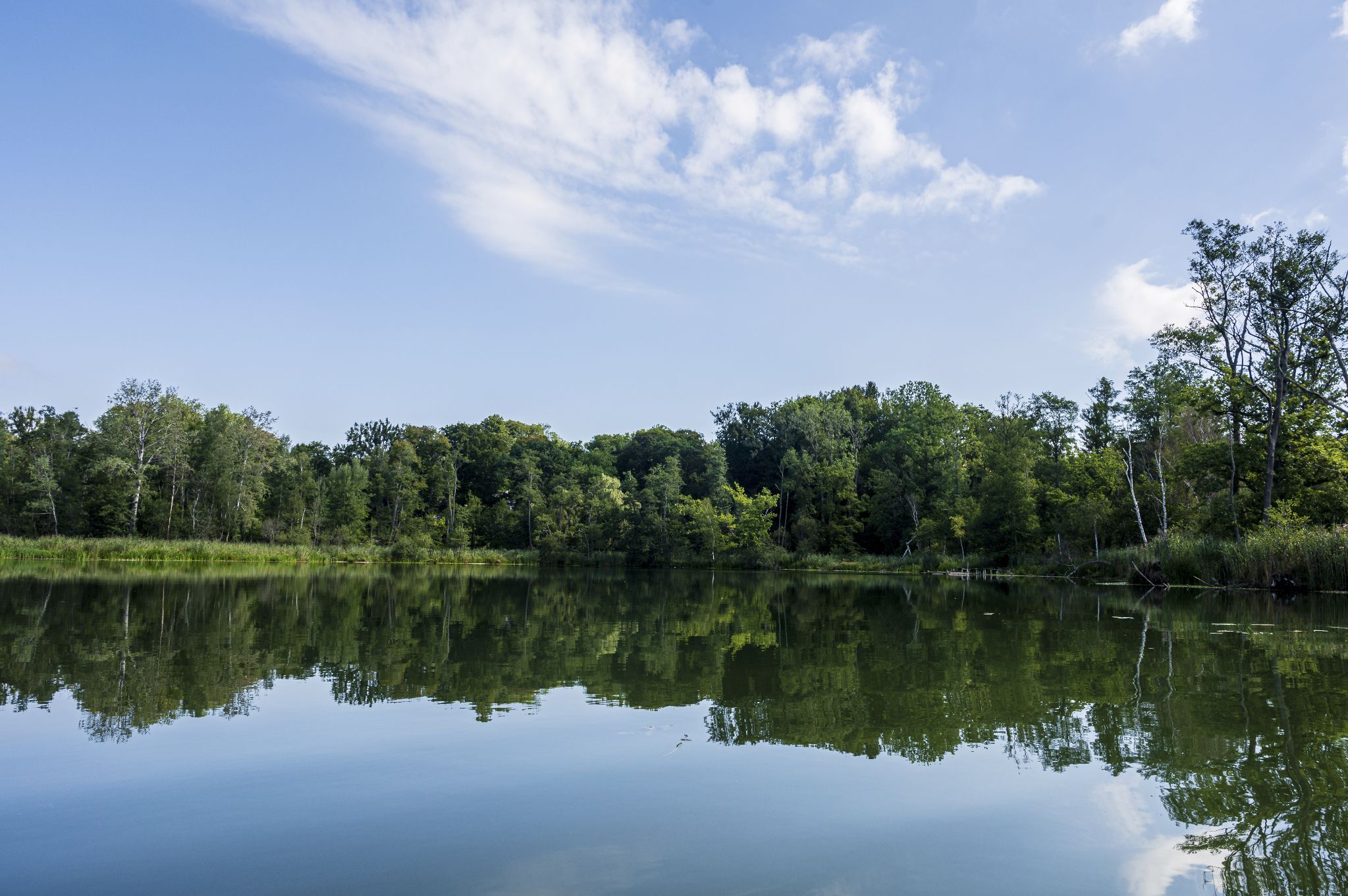 Kajaktour Leutstettner Moos 21.08.2022